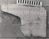 Lines 4-8, left side; Ward-Perkins Archive, BSR (Sopr. DS 902 Leica)